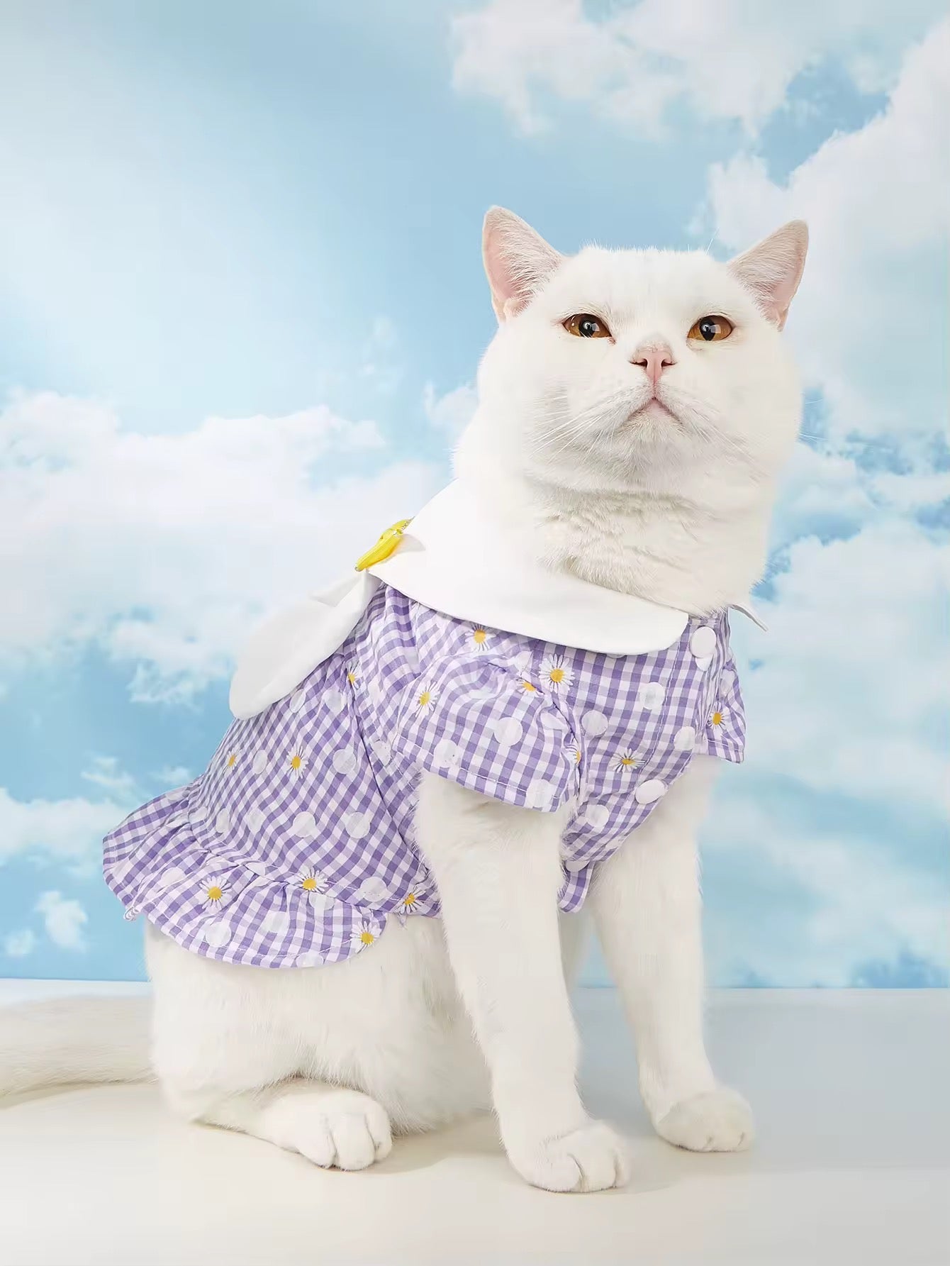 White cat wearing a purple checkered outfit with a blue sky background