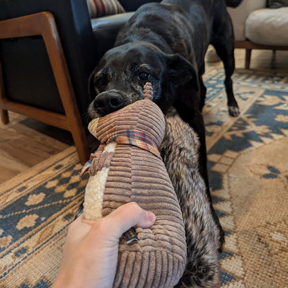 Dog playing with a toy