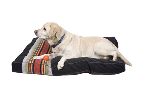 Dog lying on a striped pet bed with a white background