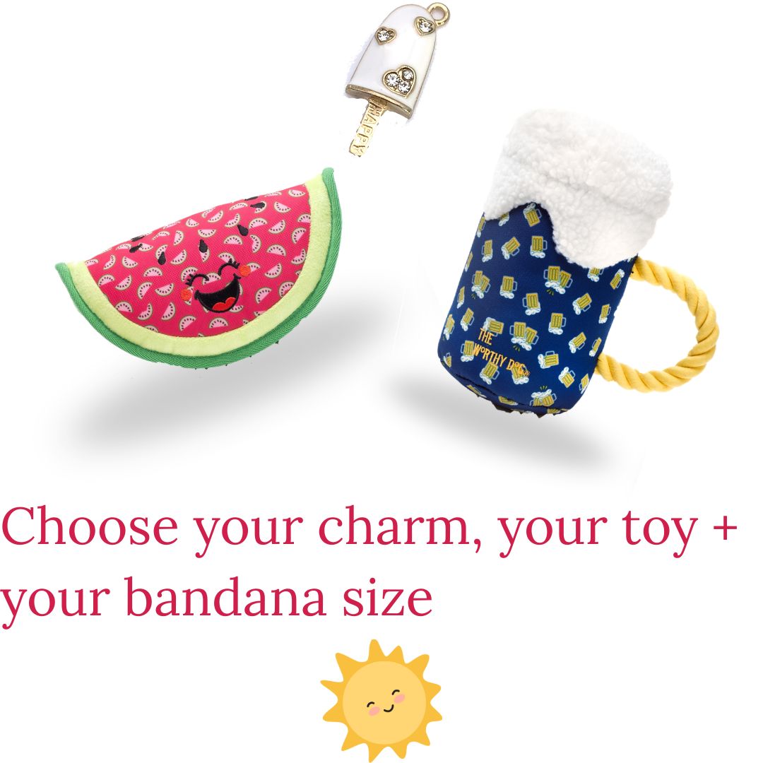 graphic of pet toys and charm