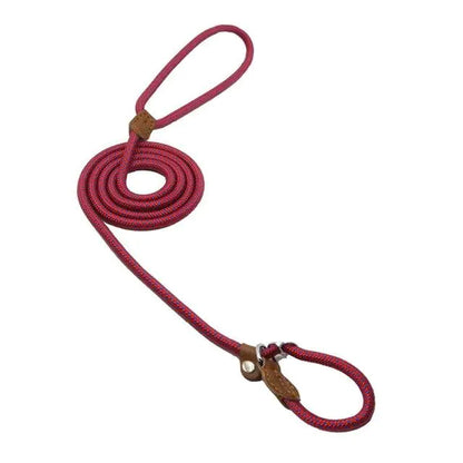 Collar and Leash Set