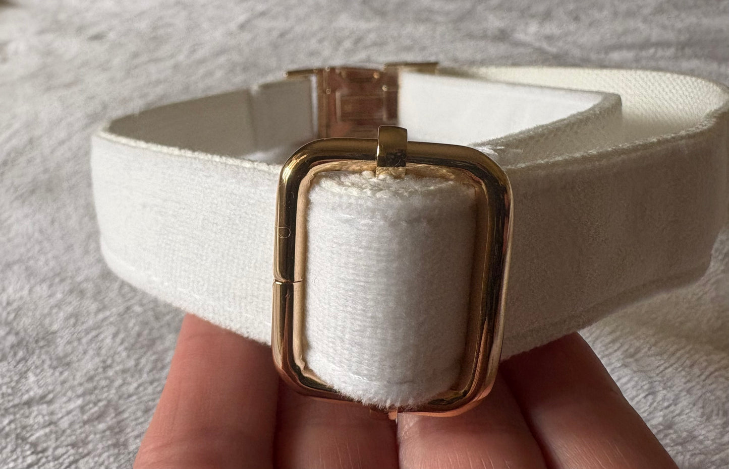 White Velvet Collar for Large Dogs