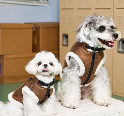 Two small dogs wearing brown fleece coats sitting on a table in front of beige lockers.