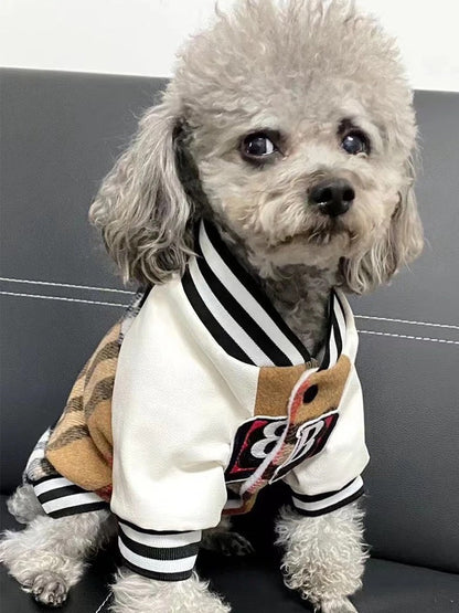 Small dog wearing a white jacket with black and brown accents on a dark background