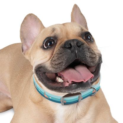 Dog wearing a blue collar with a white background