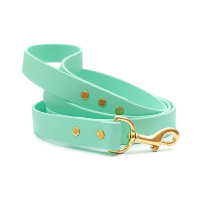 light green leash with gold clip