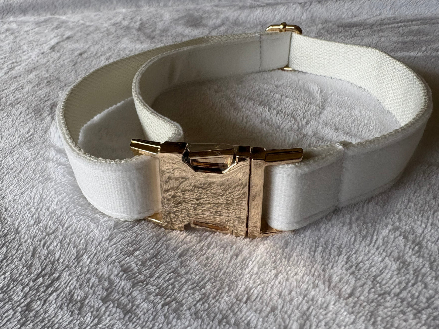 white dog collar with gold buckle