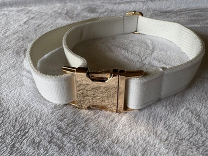 white dog collar with gold buckle