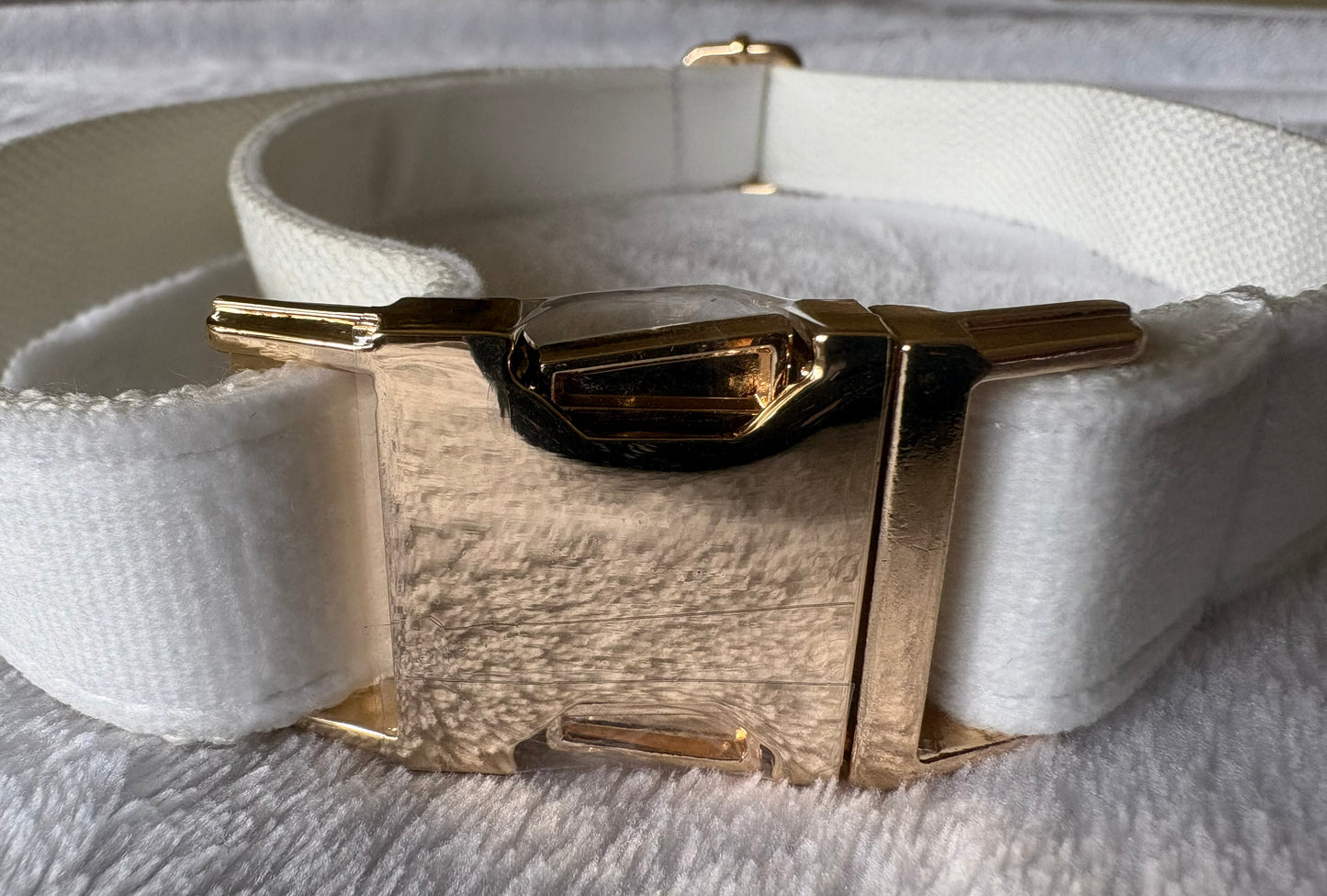 White Velvet Collar for Large Dogs