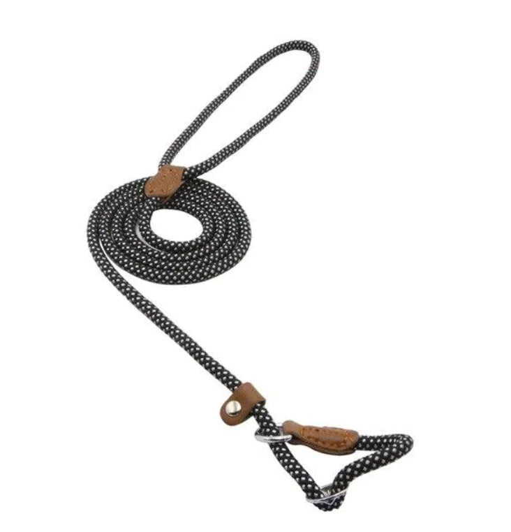 Collar and Leash Set