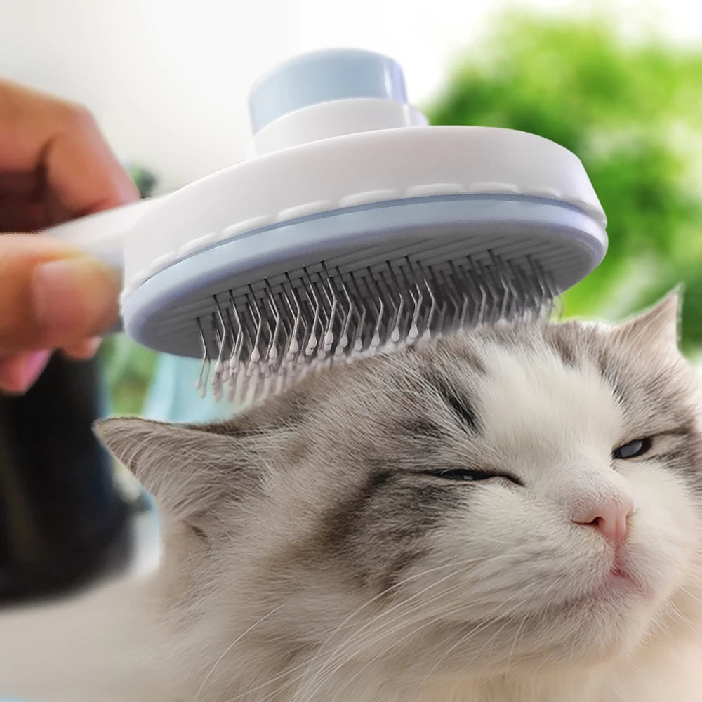 Pet Brush